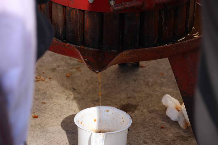 Denetik eta denentzat, Bedai 4 1541343170904