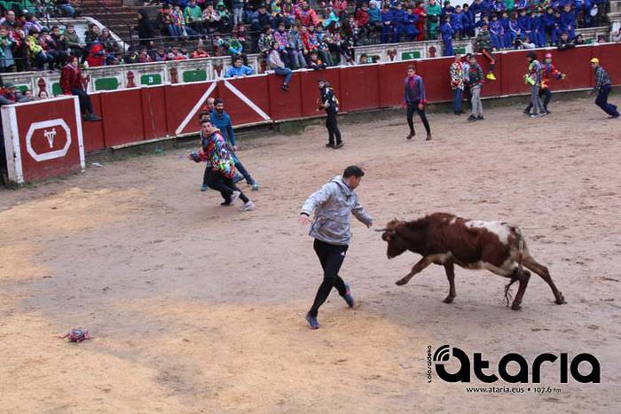 Zezen festarako gogoz 17 1518113802042