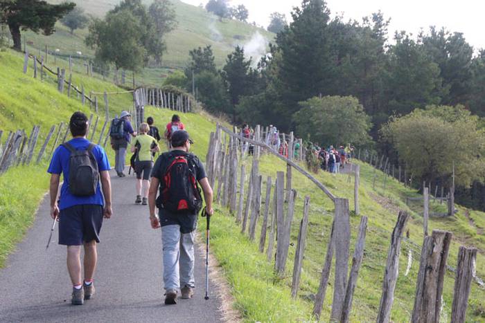 2016 bidea 36 1471776006526