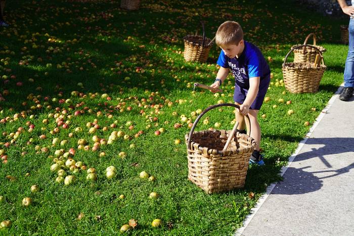 Sagar uzta festa jendetsua 20 1760790636325