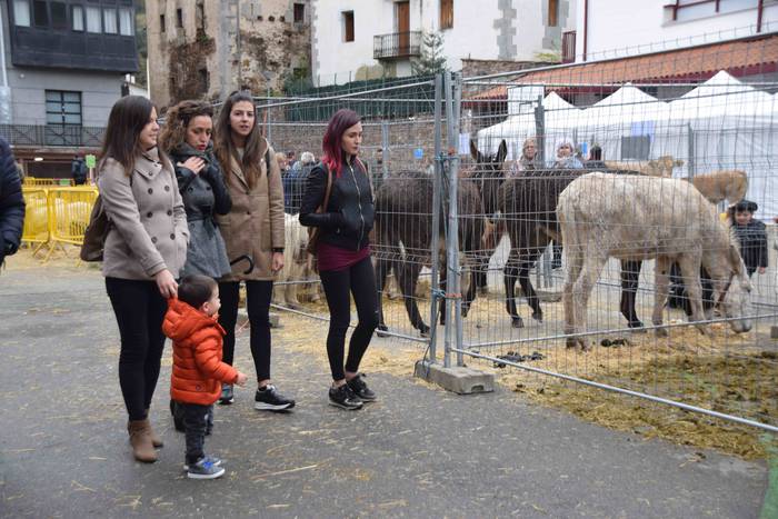 Berastegi hogeita batgarren  25 1572793375233