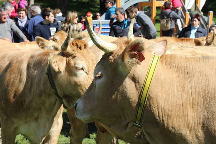 Larre irekiera Larraitzen 20 50 1493639960331