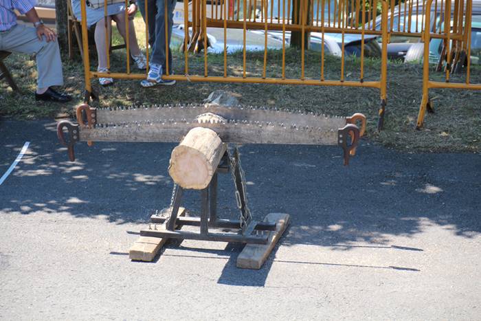 Santamaña Eguna Asteasun 2016 13 1468852412088