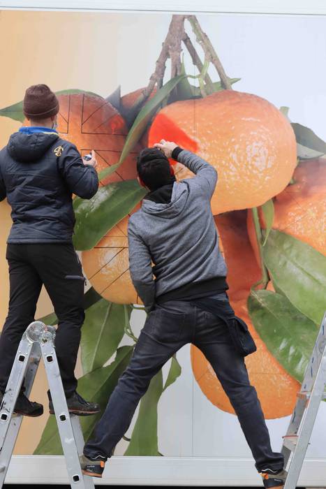 Tolosatik Saharara bidaiatuk 16 1616235417681