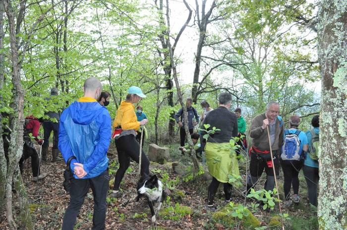 Zizurkilgo mugarriak Hernand 9 1620026990030