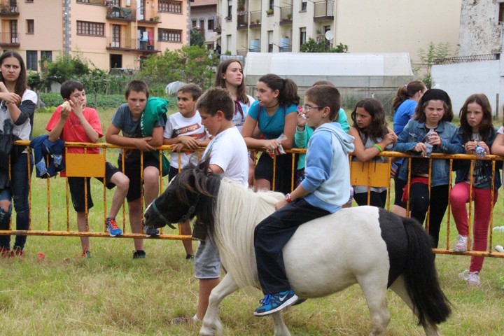 Egun bakarreko festa izango da Asteasuko sanpedroetan