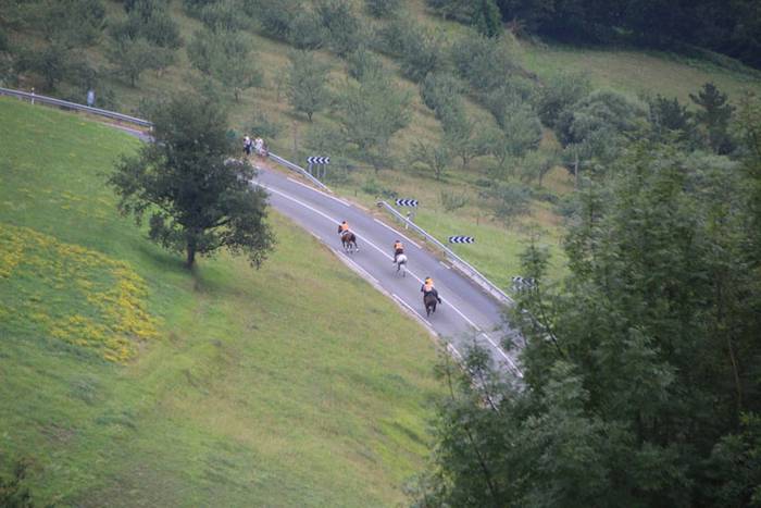 Zaldi gainean lasterka Abalt 8 1498413066443