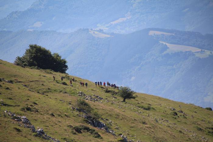 Lehen tontorra, Ernio 76 1497799737568