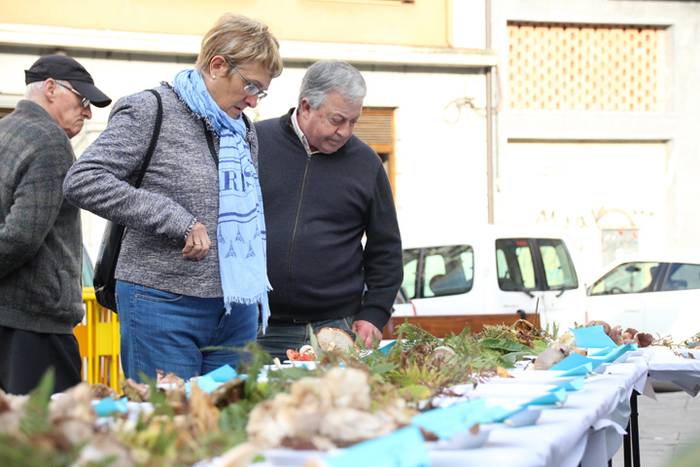 Udazken loreen gurtza 5 1477137480458