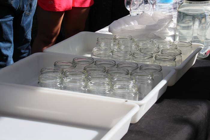 Ibarrako piperrak biltzen 20 2 1506520819402