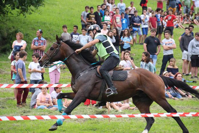 Zaldien gainean lehian 11 1497207163706