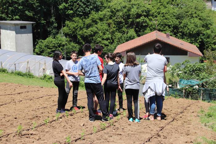 Erein dituzte lehen piperrak 21 1559303470941