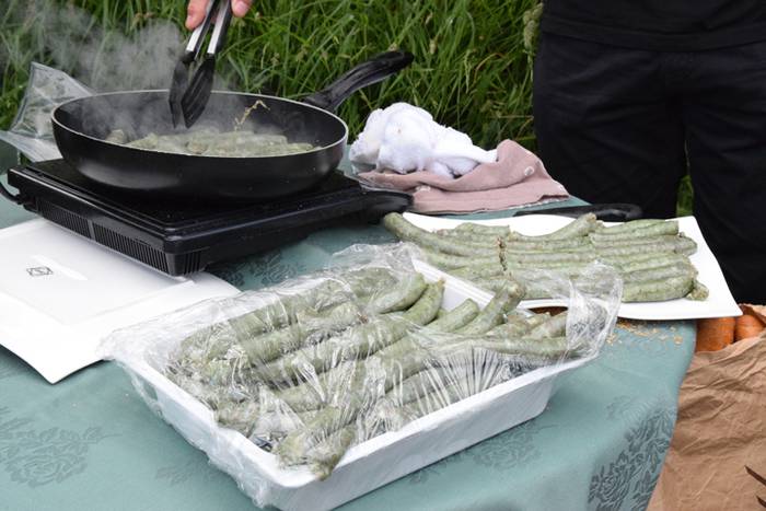 Piper landaketa uzturpe gureak  789 taldea 13 1464793771521