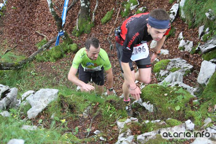 T3T tontor 2016 hernio 40 1466351085501