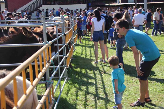 Jendetza elkartu du Asteasuk 37 1569763918608