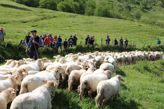 Larre irekiera Larraitzen 20 98 1493640265486