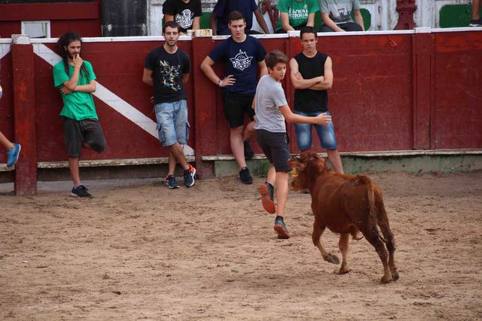 Zezen plaza hartu dute umeek 36 1539360927907