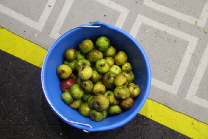 Frontoiaren babesean eta jol 3 1510334180303