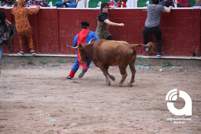 Zezenak adarrak okerrak ditu 35 1488277356768