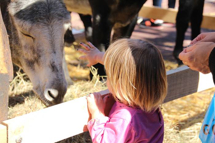 Lurraren zaindari direnen er 93 1507466633975