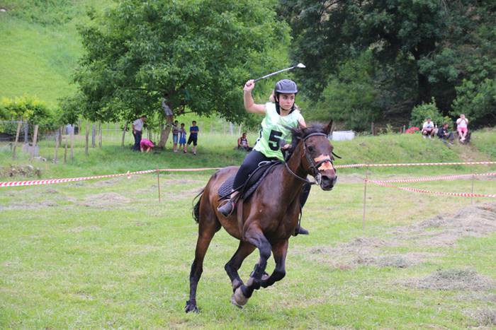 Zaldien gainean lehian 50 1497207404908