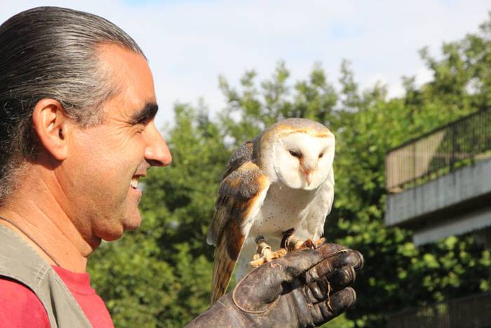 2016 bidea 13 1471775840099