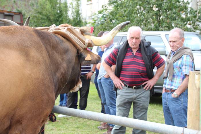 Hutsik egiten ez duen azoka berezia 29 1474813275388