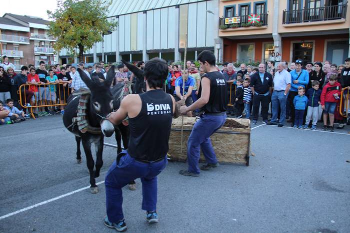 Gazteak nagusi, ximaurra gar 31 1507490596299