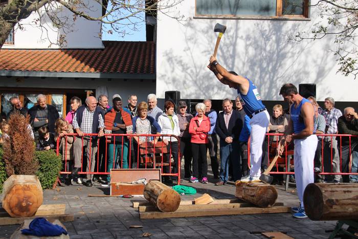 san martin eguna amasa 2015 13 1447245475933