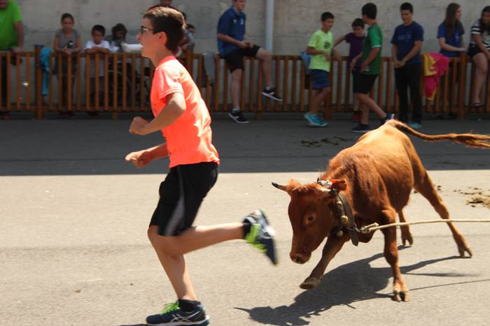 Hernialdeko Jaiak 2017 43 1502714756442