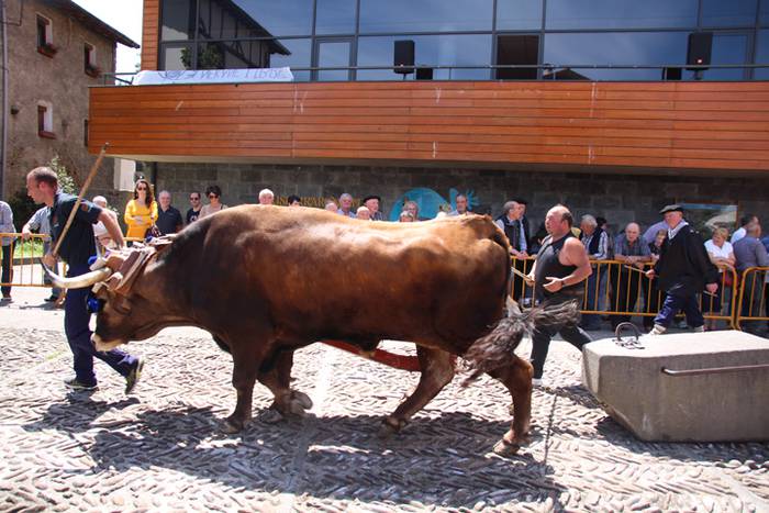 Idi erakustaldia Asteasuko p 24 1494859933105