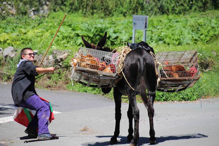 Suziriari aurrea hartu diote 2 1565791739683