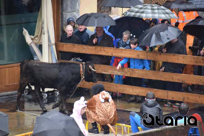 Inauteriak 2018, sokamuturra 51 1518438096506