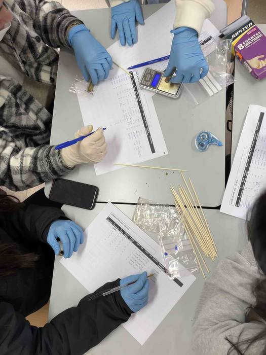 Historia ezagutzeko, ondarea 4 1644404057117