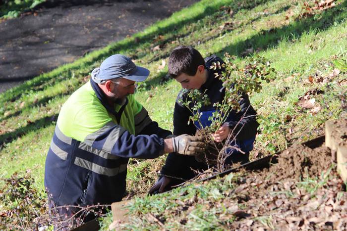 Tolosako ikasleek zuhaitzak  18 1520435529795