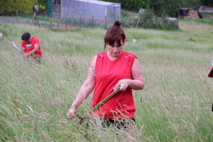 Sega Liga 2. jardunaldia Alt 5 1654367741817