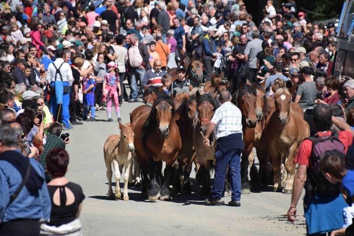 Larrerati dituzte abereak Ar 46 1556716313786