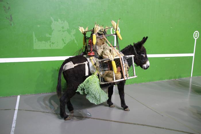 Menditik jaitsi da Olentzero 31 1482586562857