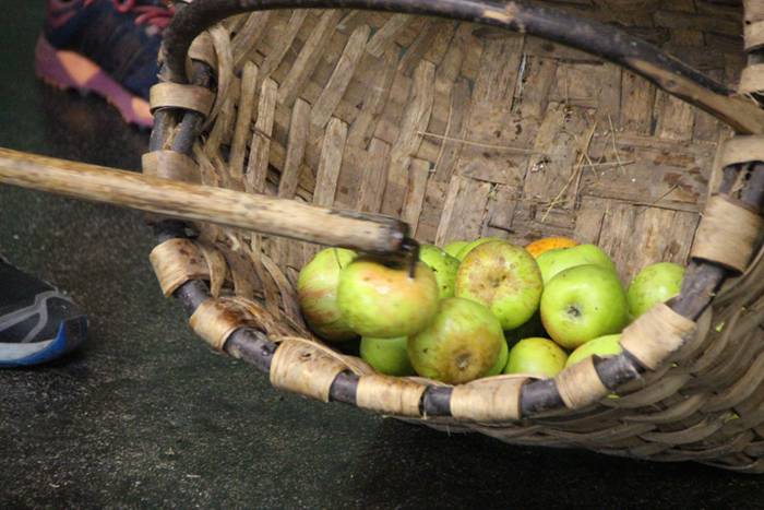 Frontoia, erakustaldiaren ba 36 1502818247982