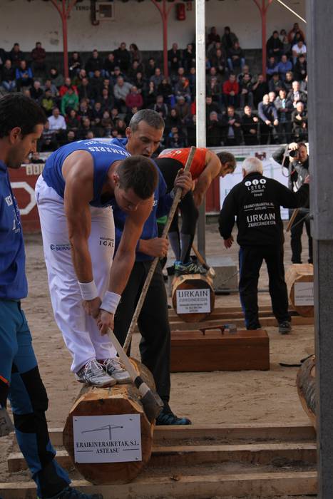 Arria V.aren apustua 1 1479746111180