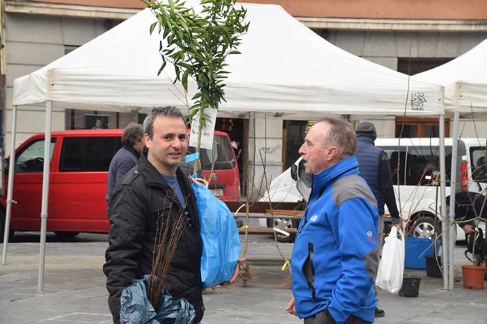 Zuhaitz Azoka, Tolosa, 2017 32 1486819744708