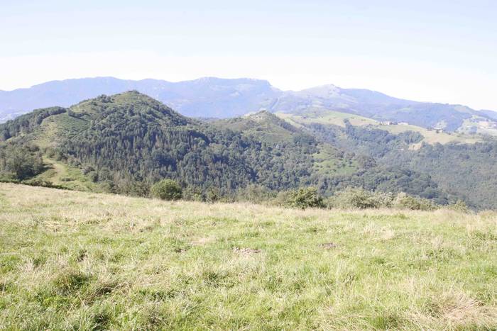 Saseta Defentsa Sistema auzo 6 1658491978403