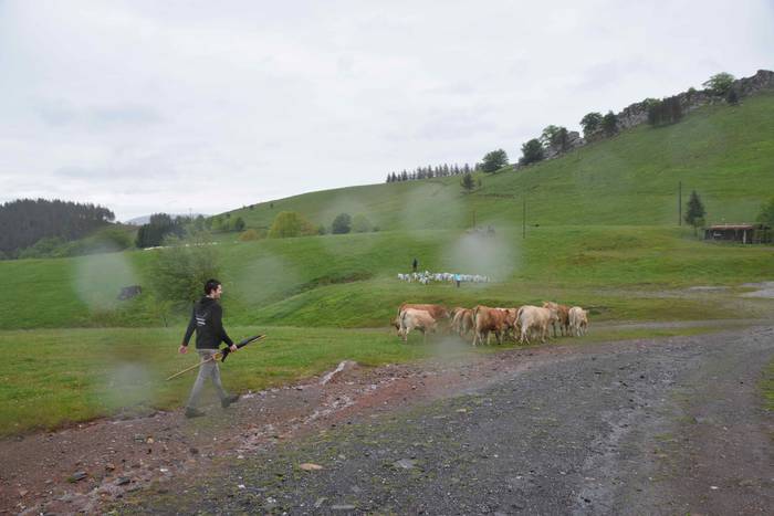 Larre irekiera Berastegi 202 17 1621072177329