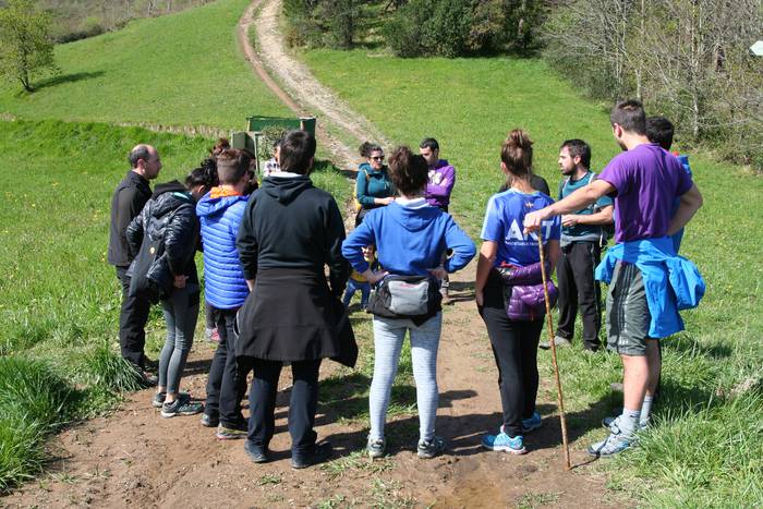 Basoari begira Anoetan 11 1554970857811