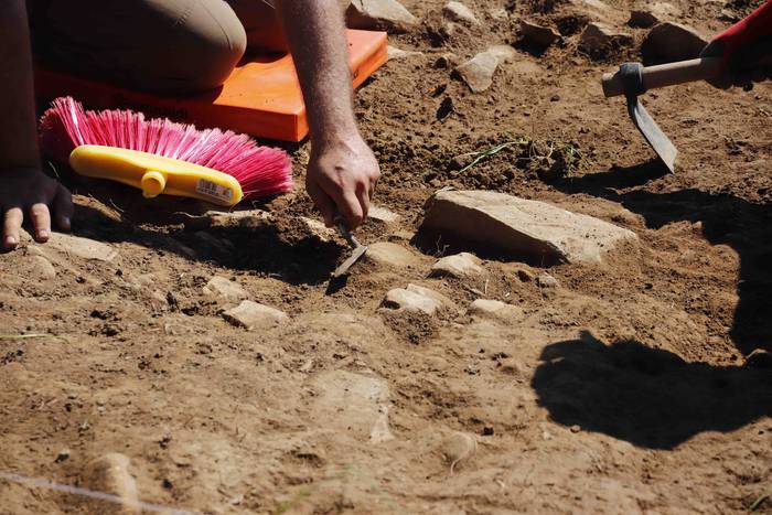 Saseta Defentsa Sistema auzo 18 1658491984483