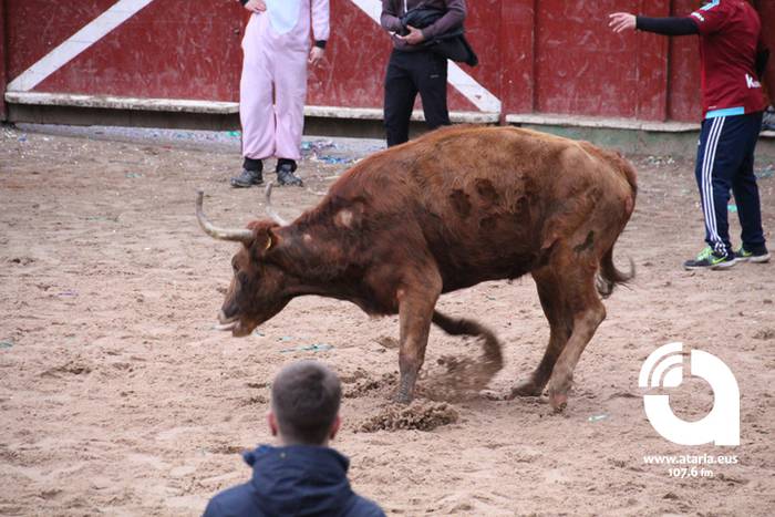 Zezenak adarrak okerrak ditu 52 1488277459332