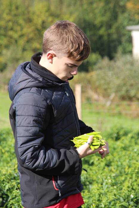 Piperraren zikloa 2015 15 1445442216401