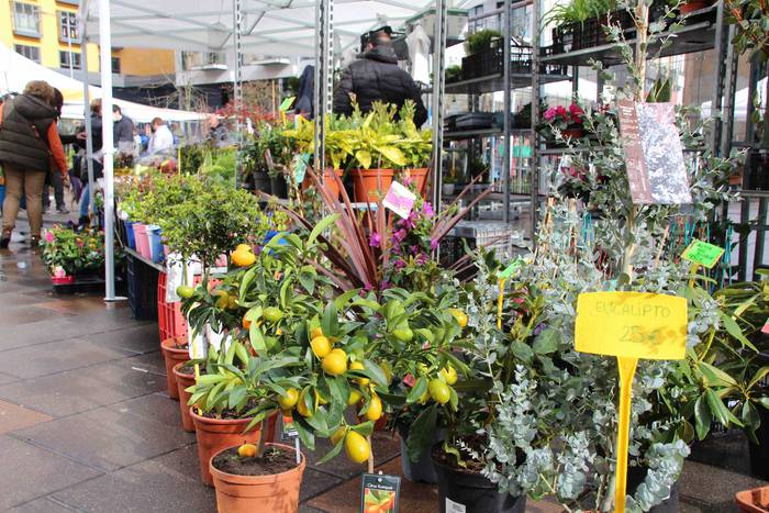 Zuhaitz azoka 2022 24 1645283031772