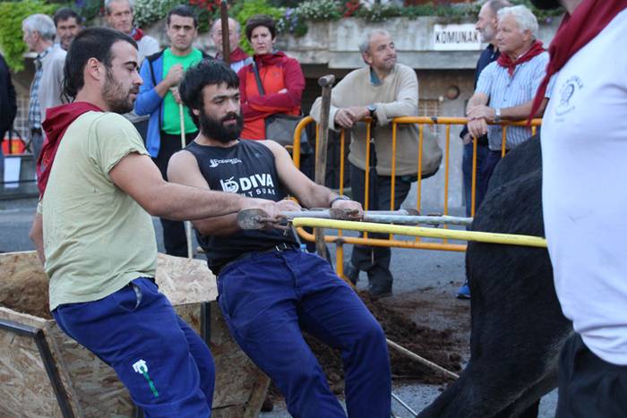 Gazteak nagusi, ximaurra gar 16 1507490469956