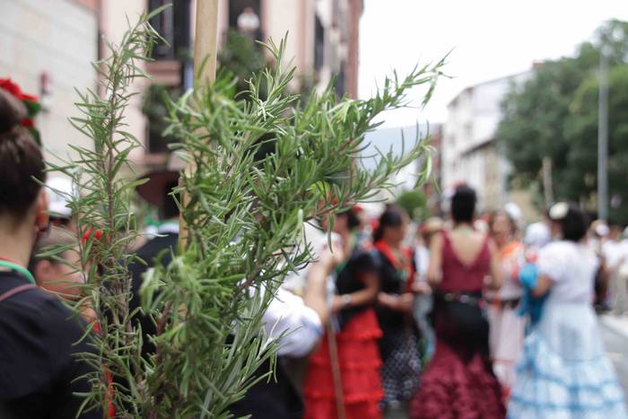 Santioetako Rozioa konpartsa 23 1658841267394